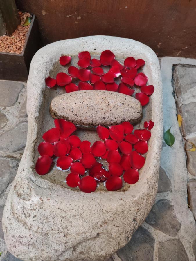 Casa Carmen Reforma Otel Oaxaca Dış mekan fotoğraf