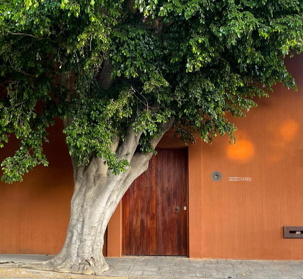 Casa Carmen Reforma Otel Oaxaca Dış mekan fotoğraf
