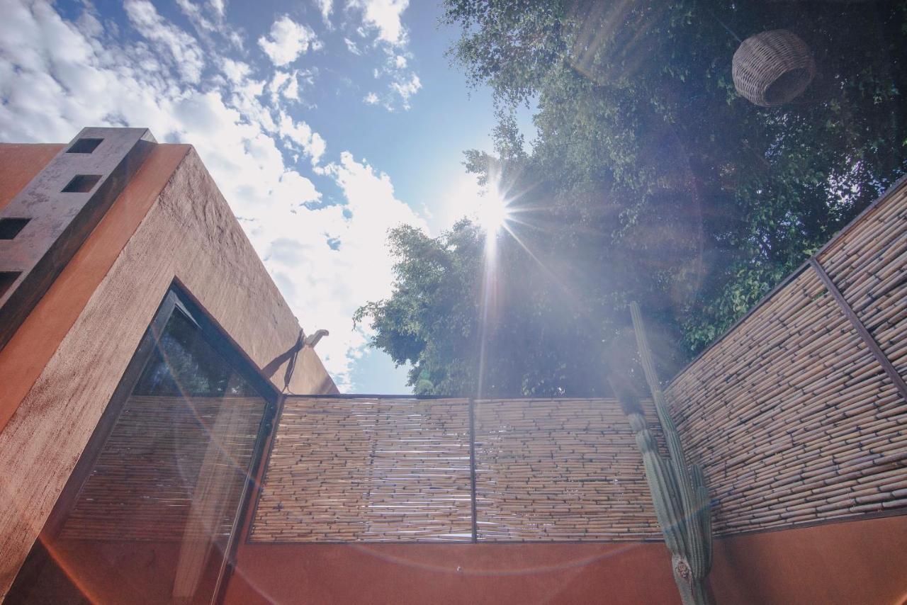Casa Carmen Reforma Otel Oaxaca Dış mekan fotoğraf