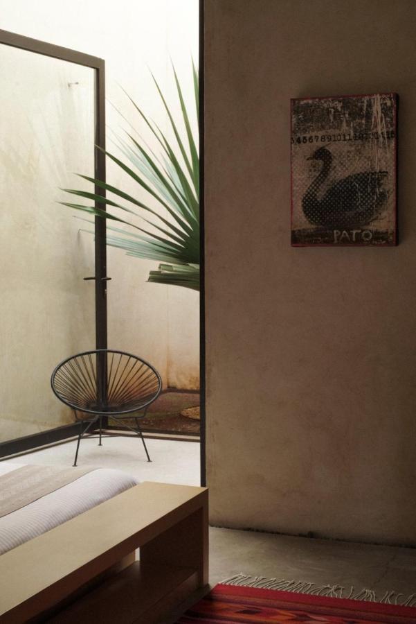 Casa Carmen Reforma Otel Oaxaca Dış mekan fotoğraf