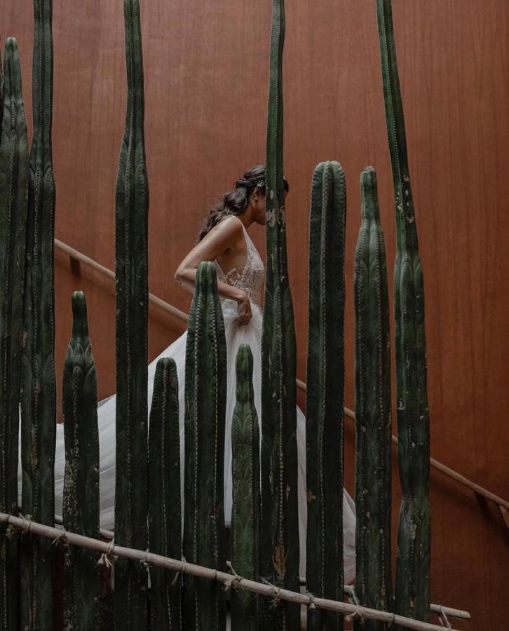 Casa Carmen Reforma Otel Oaxaca Dış mekan fotoğraf