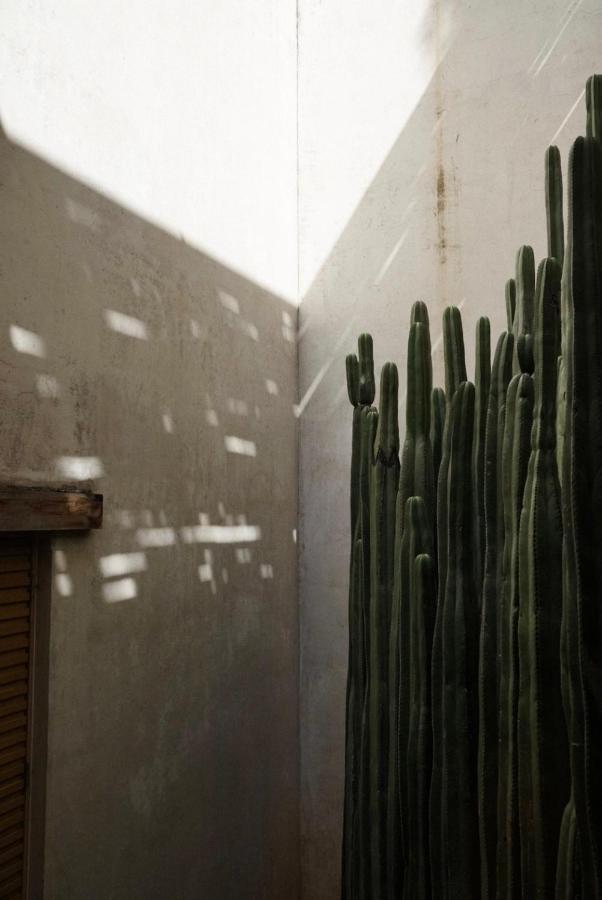 Casa Carmen Reforma Otel Oaxaca Dış mekan fotoğraf