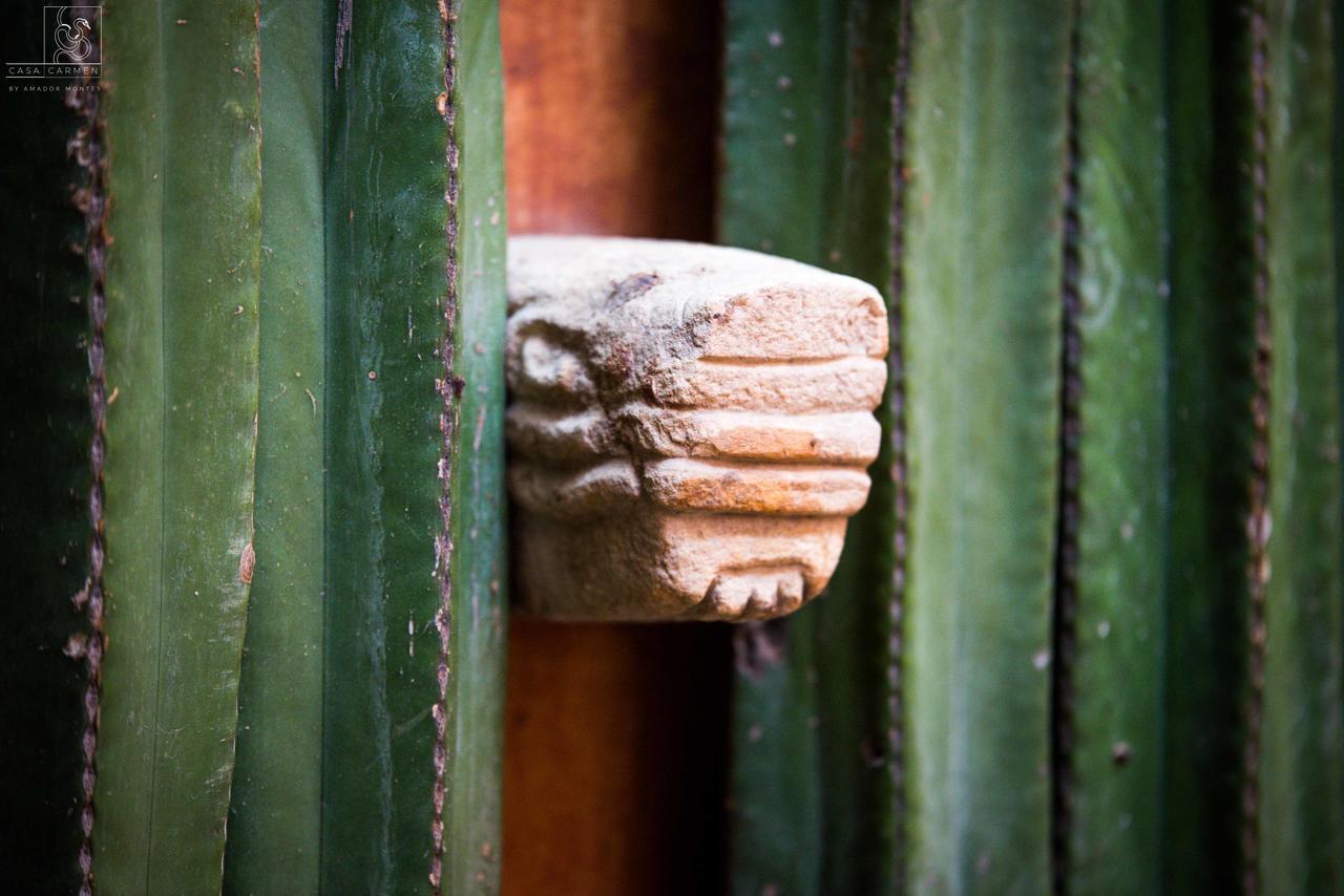Casa Carmen Reforma Otel Oaxaca Dış mekan fotoğraf