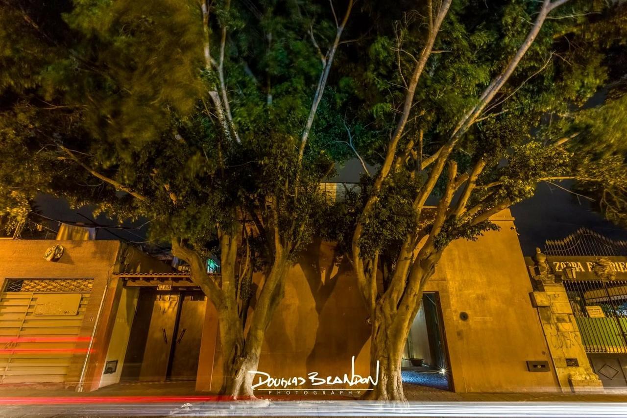 Casa Carmen Reforma Otel Oaxaca Dış mekan fotoğraf