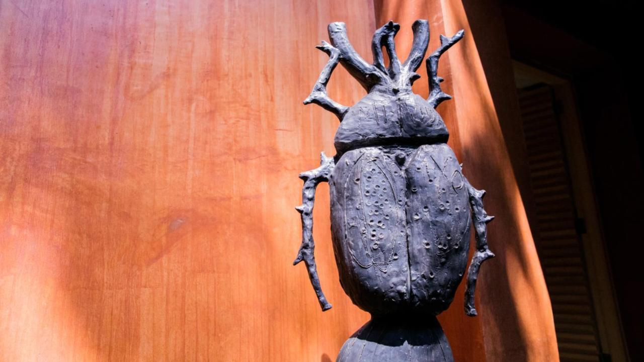 Casa Carmen Reforma Otel Oaxaca Dış mekan fotoğraf