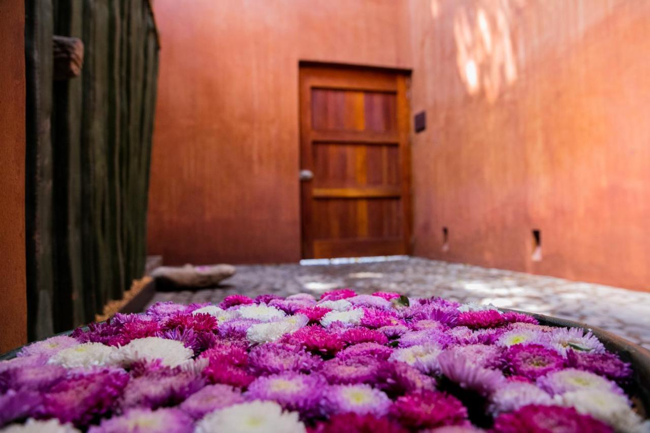 Casa Carmen Reforma Otel Oaxaca Dış mekan fotoğraf